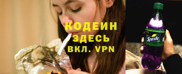 соль ск Белокуриха
