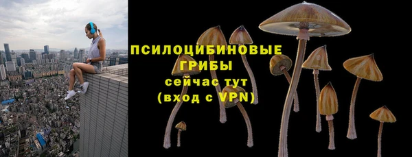 трава Беломорск