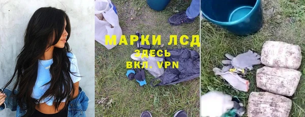 соль ск Белокуриха